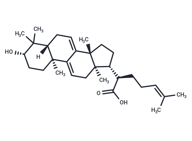 3-氫化去氫松苓酸,3-Dehydrotrametenolic acid