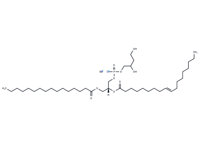磷脂酸甘油酯(egg),Egg PG