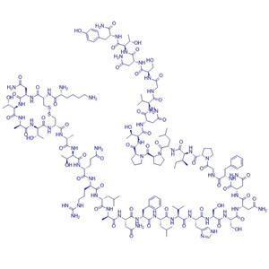 普蘭林肽,Pramlintide