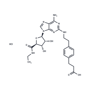 化合物 CGS 21680 HCl|T6441|TargetMol