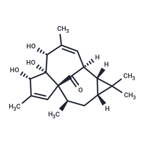 20-去氧巨大戟萜醇,20-DEOXYINGENOL