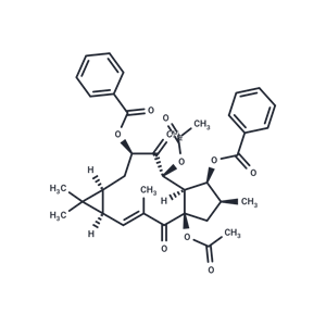 大戟因子L2|T5798|TargetMol