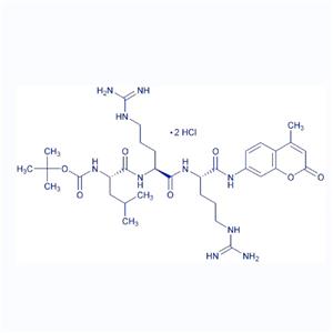 Boc-Leu-Arg-Arg-AMC/109358-46-5/荧光底物多肽Boc-Leu-Arg-Arg-AMC