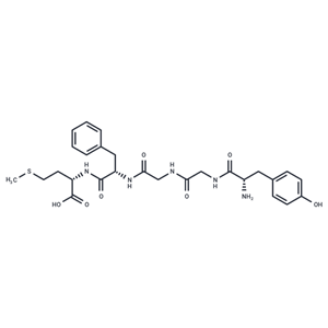 蛋氨酸脑啡肽|T7211|TargetMol