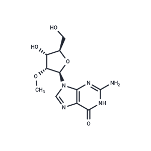 2'-甲氧基鸟苷|T9726|TargetMol