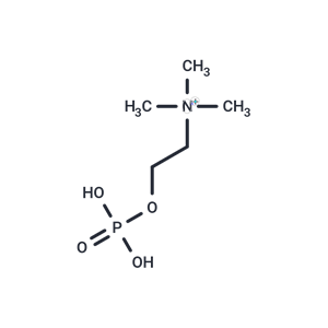 磷酸膽堿|T73602|TargetMol