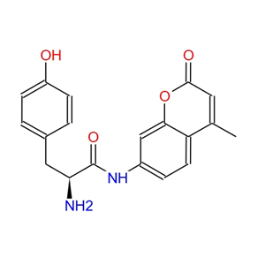 L-酪氨酸7-氨基-4-甲基香豆素