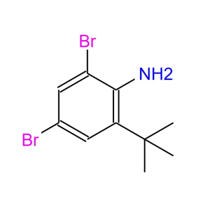 2,4-二溴-6-(叔丁基)苯胺