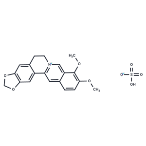 硫酸小檗堿|T5S0814