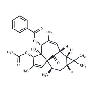 甘遂大戟萜酯C|TN6733|TargetMol