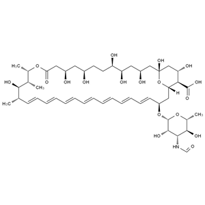 N-Formyl-兩性霉素B,N-Formyl Amphotericin B