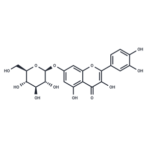 槲皮素-7-O-葡萄糖苷,Quercimeritrin