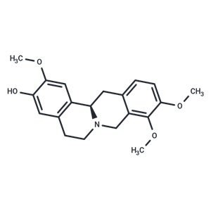 D-四氫藥根堿|T4S0794|TargetMol