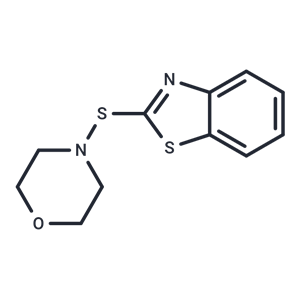 2-苯并噻唑基-N-吗啉基硫醚|T9046|TargetMol