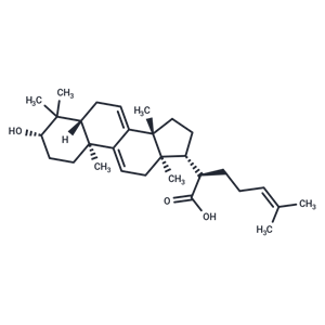 3-氫化去氫松苓酸,3-Dehydrotrametenolic acid