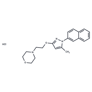 化合物 S1RA hydrochloride|T4229|TargetMol