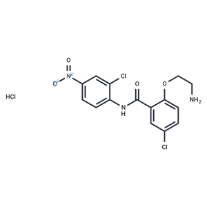 化合物 HJC0152 hydrochloride|T4234|TargetMol