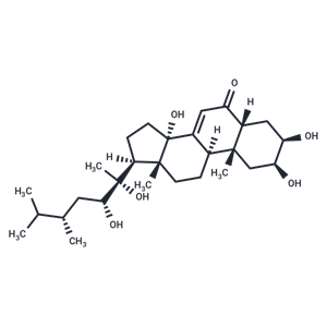 豬苓酮A,Polyporusterone A