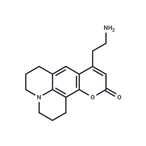 化合物 FFN 511|T22781|TargetMol