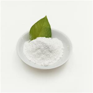 胃溶型包衣,Gastric type coating powder