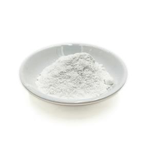 胞磷膽堿鈉,Citicoline sodium