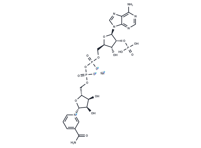 三磷酸吡定核苷酸,輔酶Ⅱ(NADP 鈉鹽),NADP sodium salt