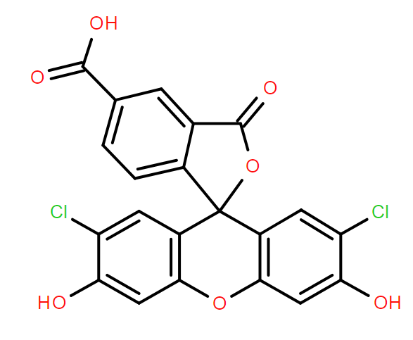 5(6)-Carboxy-2'7'-dichlorofluorescein,5(6)-Carboxy-2'7'-dichlorofluorescein