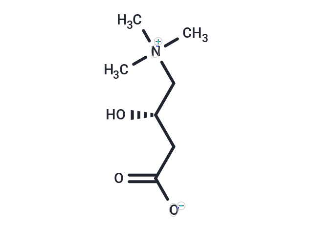 左旋肉堿,L-Carnitine