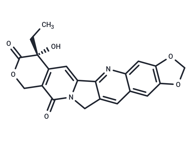 化合物 (R)-FL118,(R)-FL118