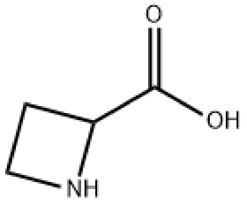 L-鈴蘭氨酸,AZETIDINE-2-CARBOXYLIC ACID