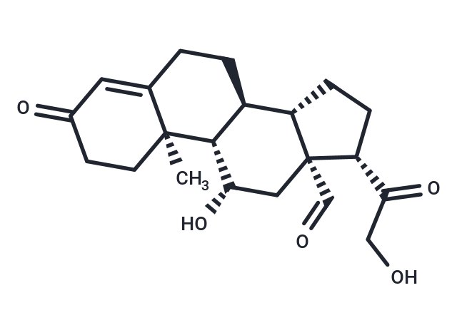 醛固酮,Aldosterone