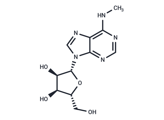 N6-甲基腺苷,N6-methyladenosine