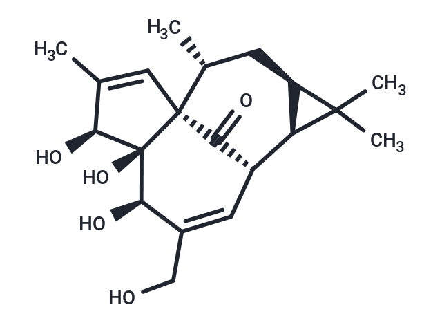 巨大戟醇,Ingenol