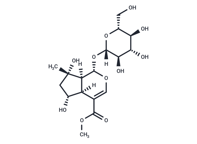 山芝皂苷甲酯,Shanzhiside methyl ester