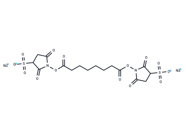 雙琥珀酰亞胺辛二酸酯鈉鹽,BS3 Crosslinker disodium