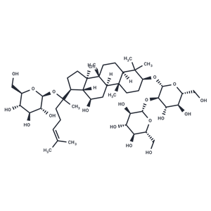 人參皂苷 Rd|T2878