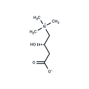 左旋肉堿,L-Carnitine