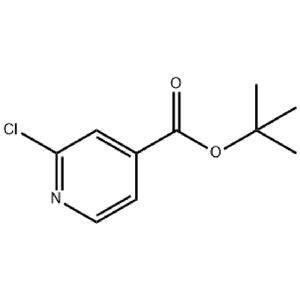 2-氯異煙酸叔丁酯,2-Chloropyridine-4-carboxylic acid tert-butyl ester