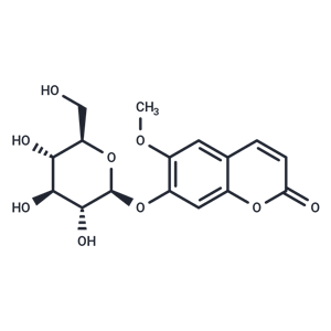 東莨菪苷,Scopolin