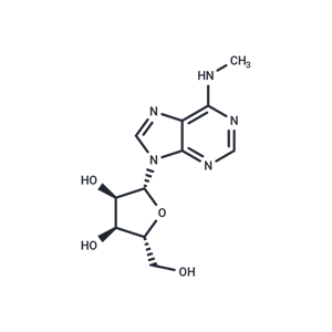 N6-甲基腺苷,N6-methyladenosine