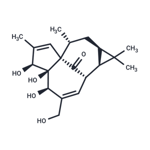 巨大戟醇,Ingenol