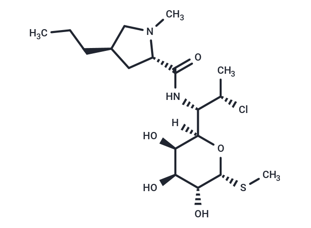 克林霉素,Clindamycin