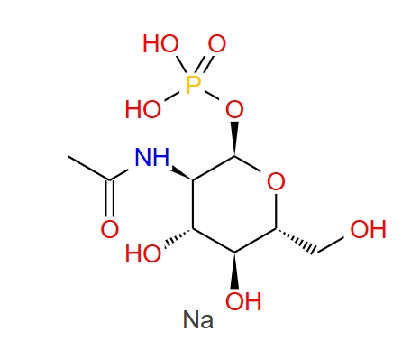 N-乙酰-A-D-氨基葡萄糖-1-磷酸酯,N-Acetyl-β-D-Glucosaminidase