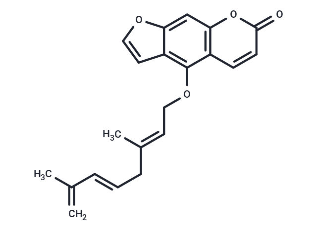 去氫羌活內(nèi)酯,Anhydronotoptol