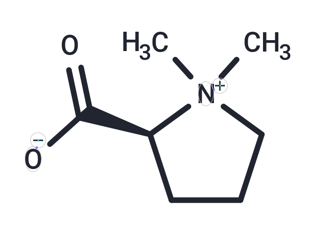 水蘇堿,Stachydrine