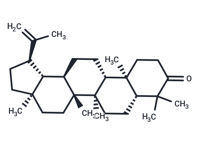 羽扇烯酮,LUPENONE