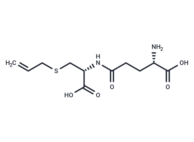 γ-谷氨酰胺-S-烯丙基半胱氨酸,γ-Glutamyl-S-allylcysteine