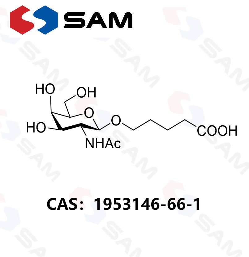 5-[(2-乙酰氨基-2-脱氧-β-D-吡喃半乳糖基)氧基]-戊酸,5-[(2-Acetylamido-2-deoxy-β-D-galactopyranosyl)oxy]-pentanoic Acid