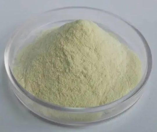 4,5-二氯-1H-吲哚-2-羧酸,4,5-DICHLORO-1H-INDOLE-2-CARBOXYLIC ACID