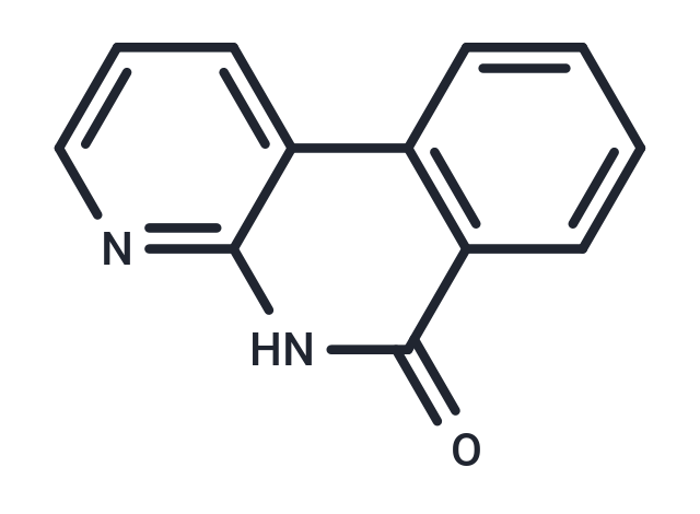 化合物 XU1,XU1